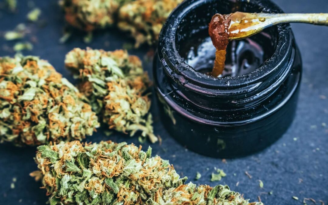 Concentrés de cannabis avec fleurs de cannabis