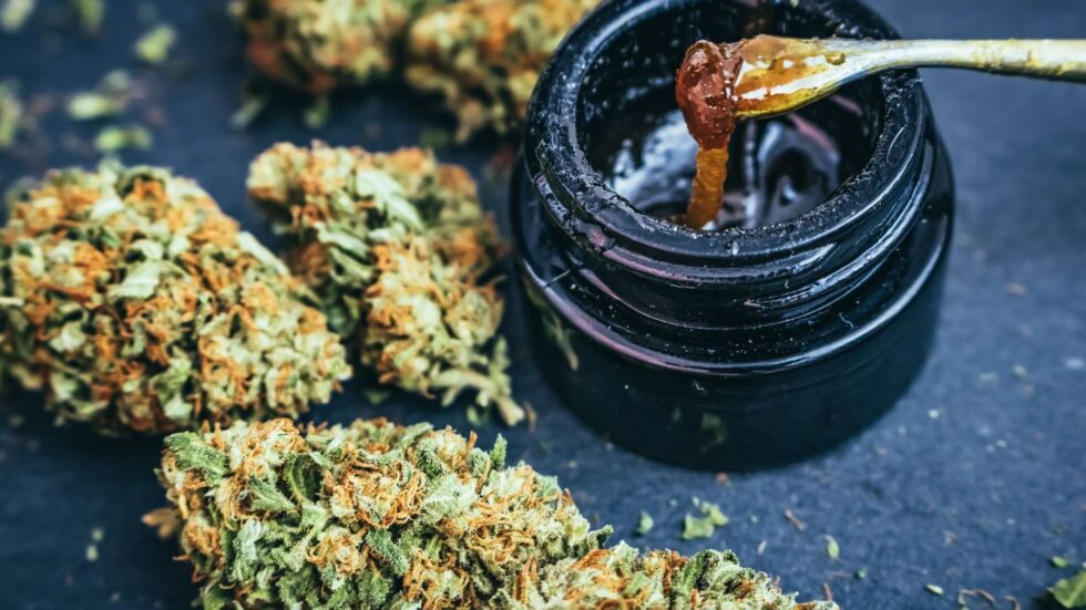 Concentrés de cannabis avec fleurs de cannabis